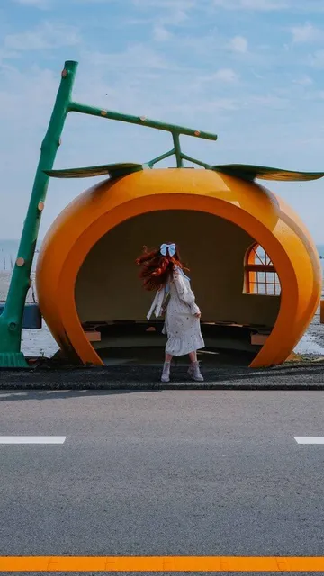 Маршрут + Консультация: планирование поездки по Японии до 2-x недель